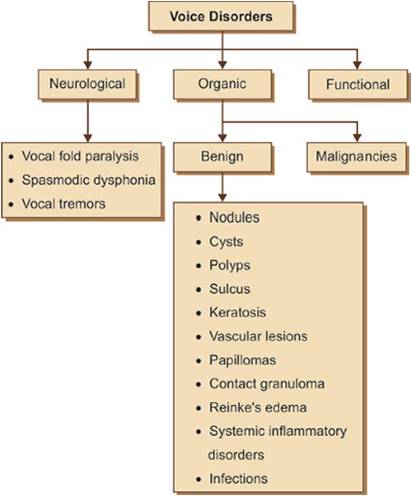 vshearing-TINNITUS-&-TRT